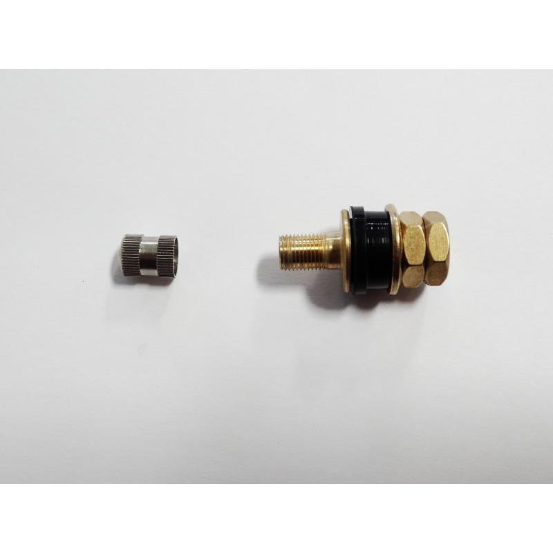 TWO Brass Low Profile Flush Mount Ag Farm Implement Tubeless Tire Valve